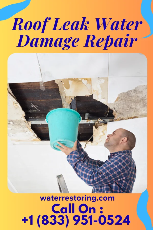 Roof Leak Water Damage Repair in Alta, UT